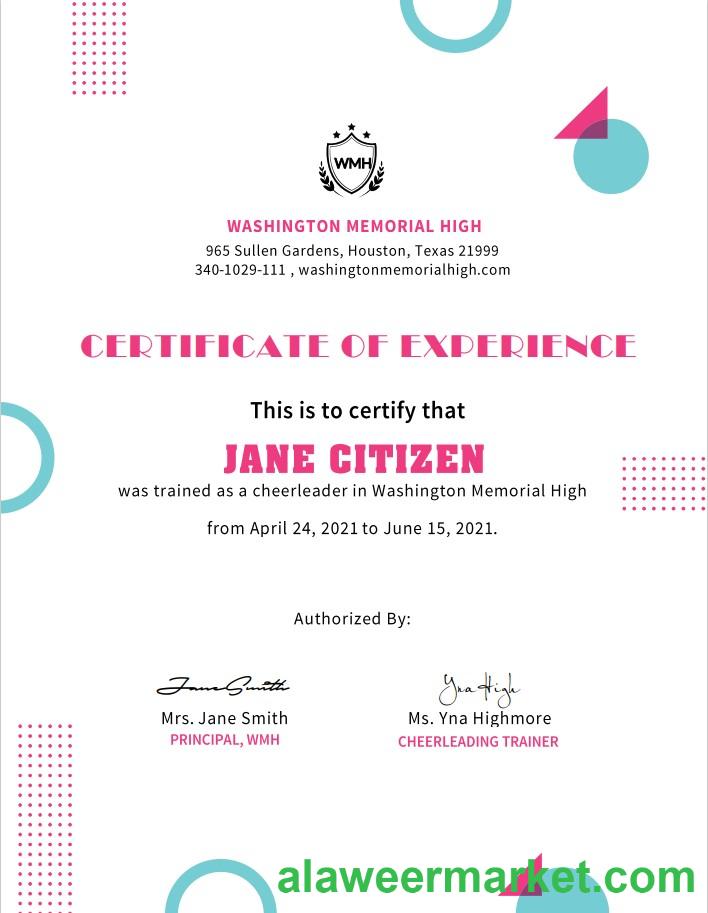 USA Cheerleader Cert
